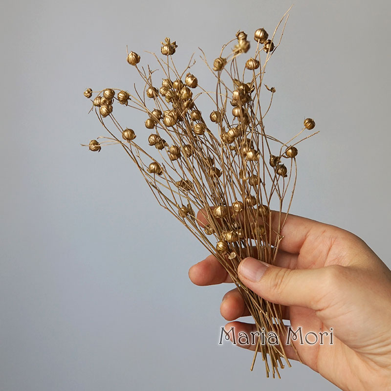 5g Preserved Flax Bean Natural - Candle Making At Home ulasan dan harga