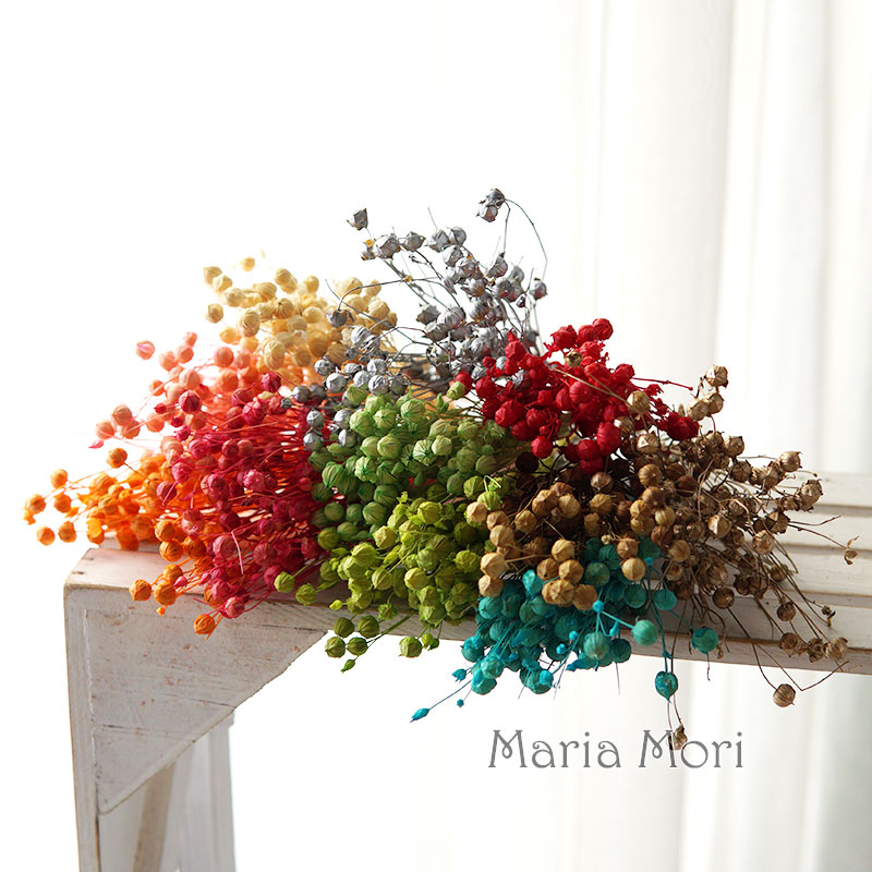 5g Preserved Flax Bean Natural - Candle Making At Home ulasan dan harga
